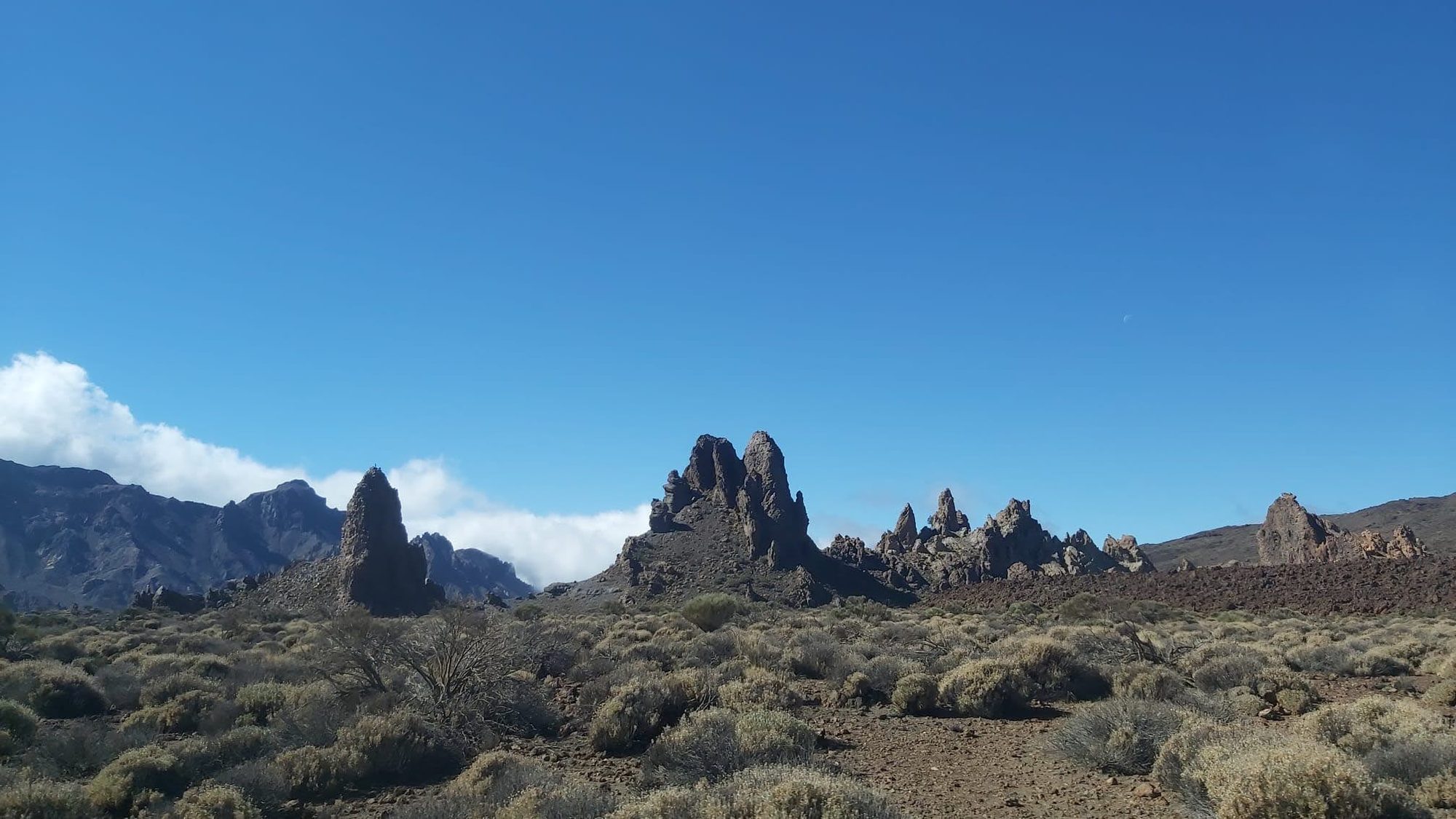 Formaciones rocosas volcánicas y vegetación árida bajo un cielo azul despejado.